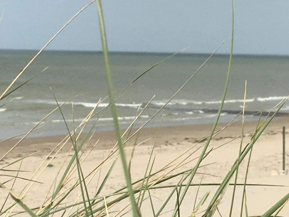 Luxe Vakantiechalet Met Omheinde Tuin Bredene 6Pers Kültér fotó
